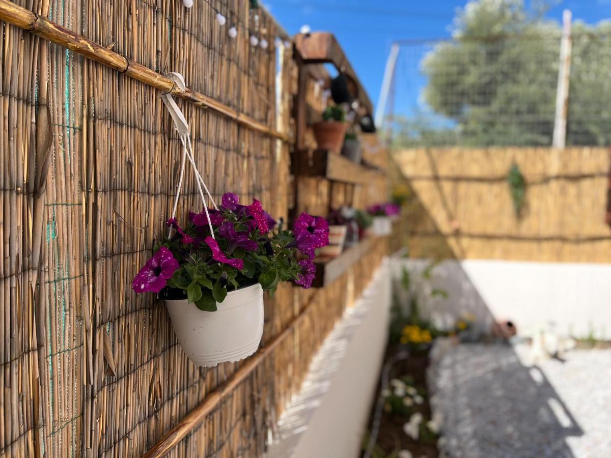 Antigoni'S Studio Cozy Private Apartment Kissamos Bagian luar foto